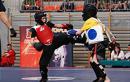 Sukces MKS Kung Fu na Midzynarodowym Pucharze Polski Wushu