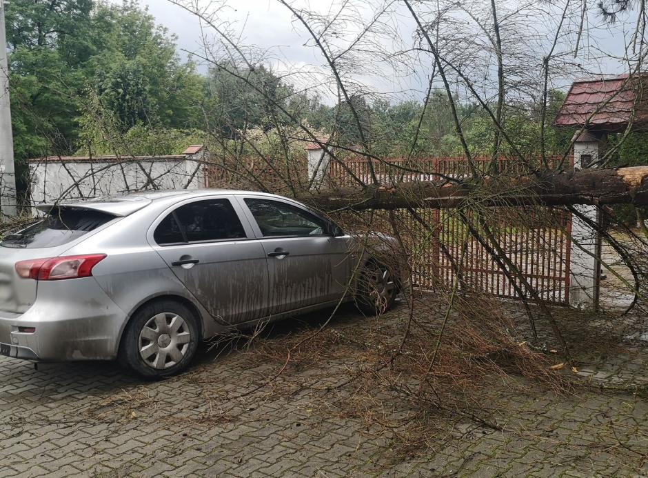 W Wieliczce drzewo spadło na samochód, w Niepołomicach