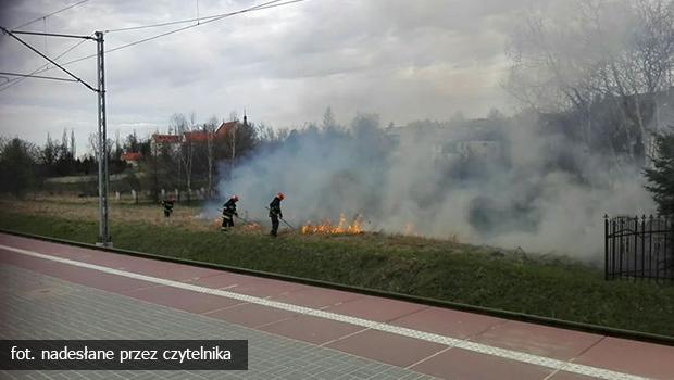 Płonie trawa obok torów kolejowych przy stacji Wieliczka Rynek - Kopalnia