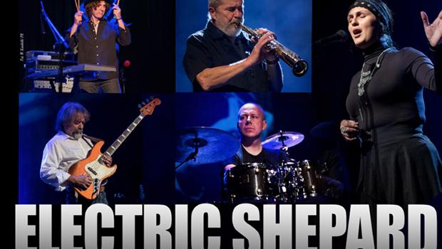 RYNEK W CENTRUM KULTURY: Koncert ELECTRIC SHEPARD Marka Stryszowskiego