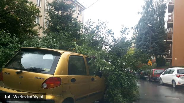 Os. Sienkiewicza. Drzewo przewrcio sie na samochd.