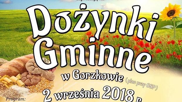 Doynki Gminne w Gorzkowie