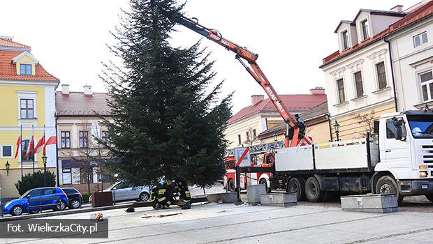 ywa choinka stana na wielickim rynku [zdjcia]