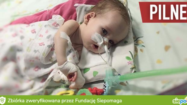 8 milionw zotych za ycie Marysi Misko. Trwa zbirka i walka z czasem.