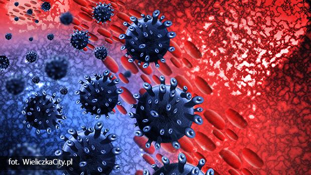 7 nowych przypadków zakażenia koronawirusem w powiecie wielickim. W sumie 29 zakażonych SARS-CoV-2.