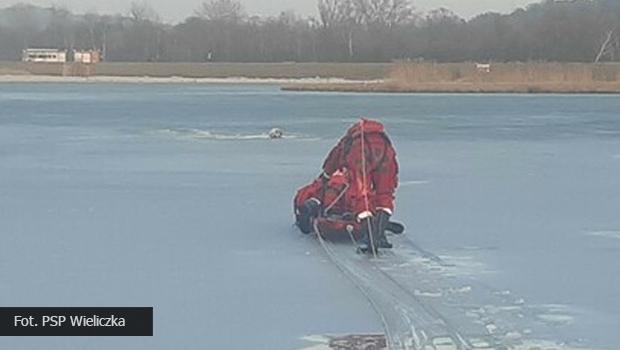Strażacy uratowali tonącego psa, pod którym załamał się lód