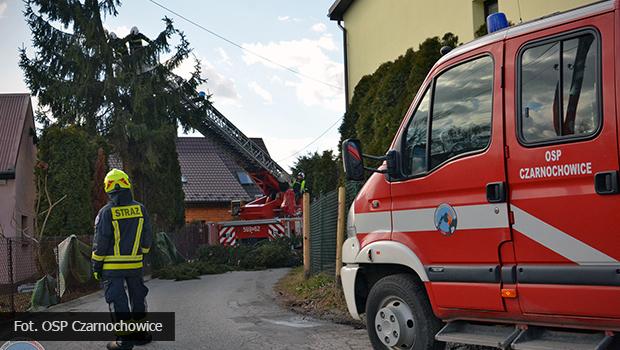 Straacy interweniowali ju ponad 100 razy w zwizku z silnym wiatrem [zdjcia]