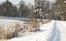 Piękno Wieliczki zimą – zobacz naszą zimową galerie
