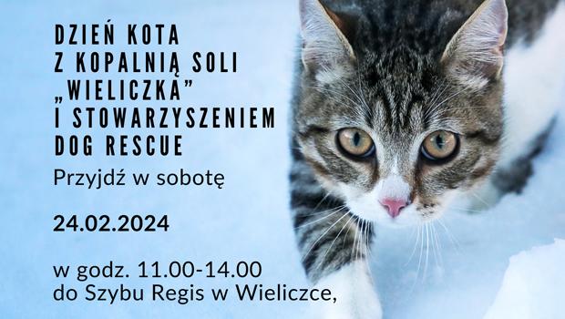 Dzień Kota z Kopalnią Soli \"Wieliczka\" i Stowarzyszeniem Dog Rescue