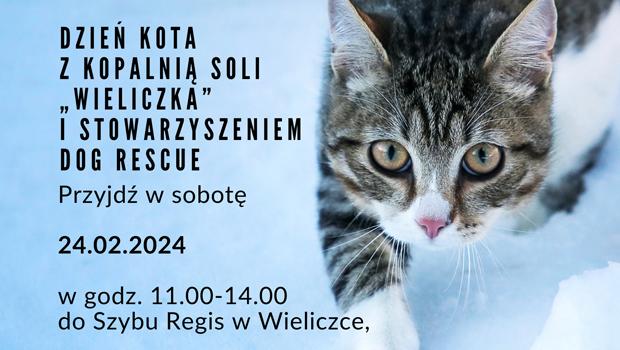 Dzie Kota z Kopalni Soli 