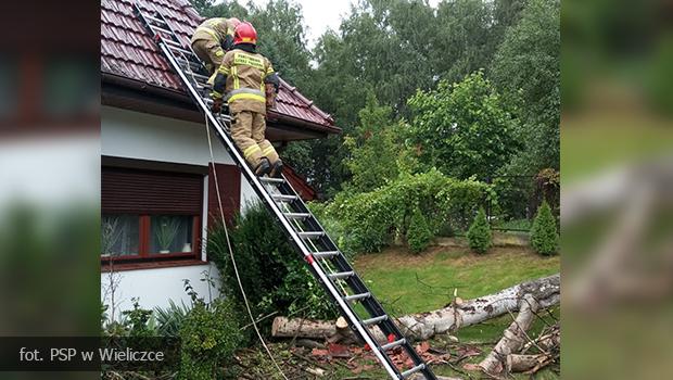 Ewakuacja harcerzy, zniszczone budynki, powalone drzewa – straacy maj duo pracy