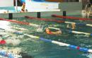 Zawody w pływaniu szkół podstawowych w Gminie Niepołomice