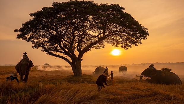 Wakacje poza szlakiem – Katar czy Uganda?