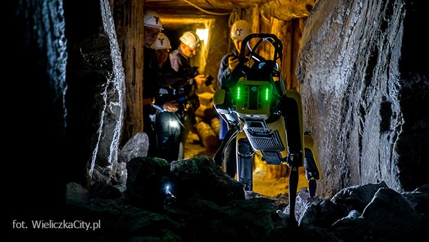 Robot-pies AGH w Krakowie testowany w trudnych warunkach wielickiej kopalni soli