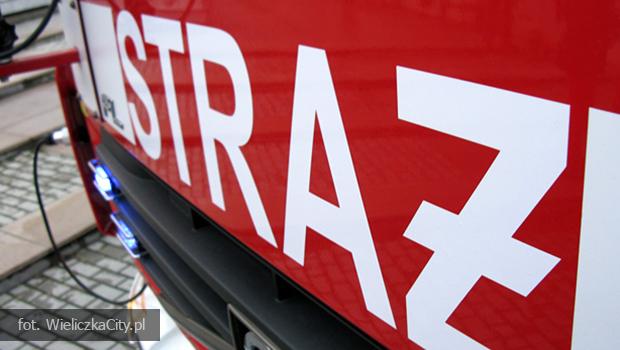 Przeskakiwa przez ogrodzenie i nabi si na prt