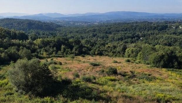 „Panorama Raciborska” zosta�a u�ytkiem ekologicznym