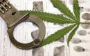 Plantacja marihuany w Niepo�omicach