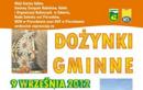 Doynki Gminne w Pierzchowie