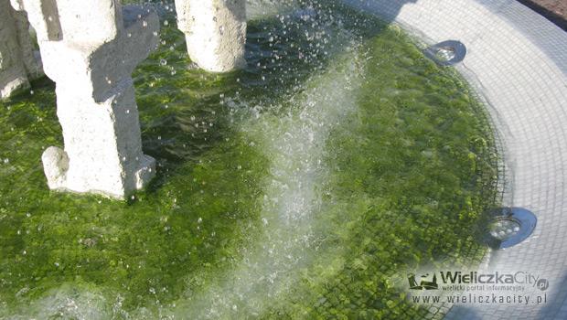 Pikny zielony osad towarzyszy fontannie na Skulimowskiego wyjtkowo czsto