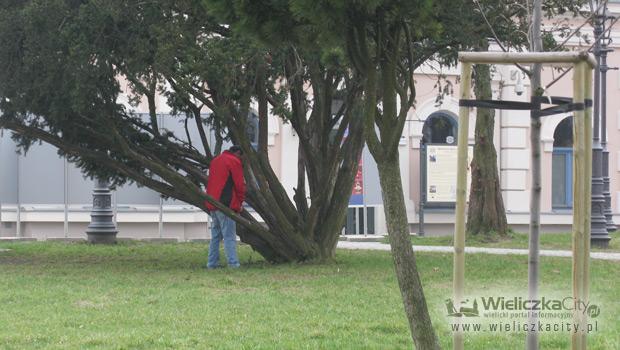 Zupenie bez obciachu i stresu w centrum miasta