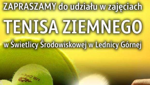 Zajcia tenisa ziemnego w Lednicy Grnej