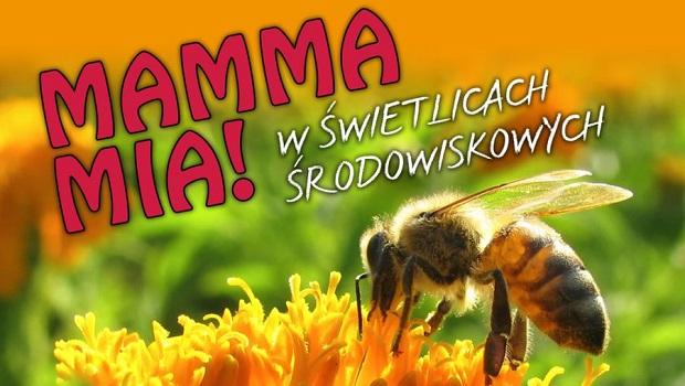 Mamma Mia w wietlicach rodowiskowych