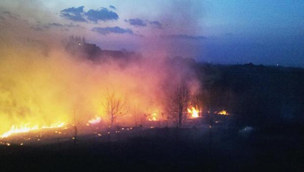 Wypalanie traw - od początku roku odnotowano już 37 pożarów traw