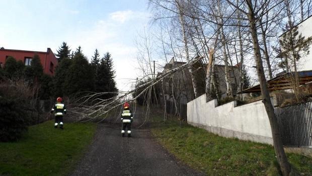 Uszkodzone dachy, połamane drzewa - 38 interwencji strażaków w związku z wichurami