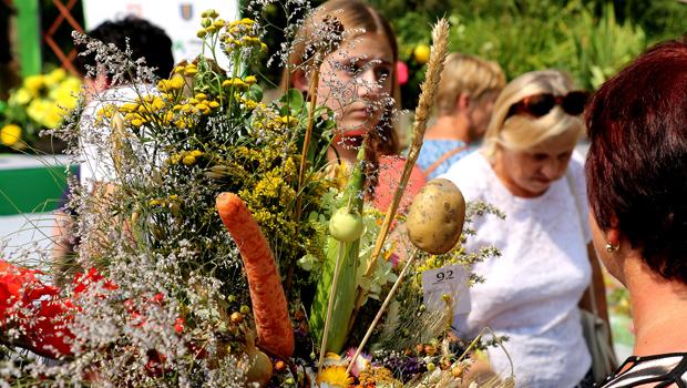 Cudowna Moc Bukietw 2015 w Podstolicach - zdjcia