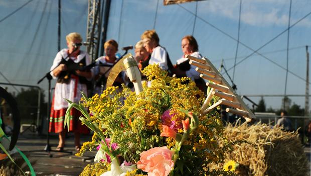 Doynki Gminne 2015 w Wgrzcach Wielkich - zdjcia