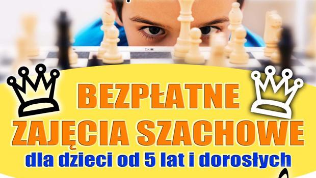 Bezpatne zajcia szachowe w Kokotowie
