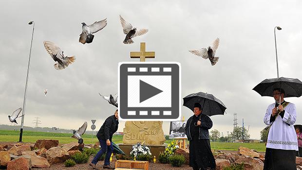 „Gobie pokoju” na Campus Misericordiae - film
