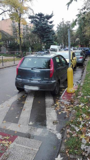 mistrz2.jpg