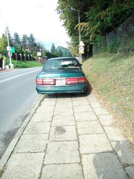 mistrz_fb_5.jpg