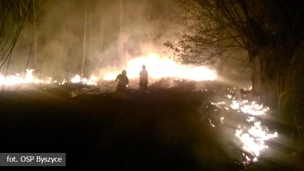 Kolejny pożar traw w Byszycach. Tym razem w nocy.
