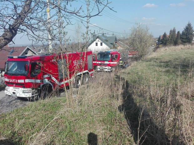 fot. nadesane przez czytelnika