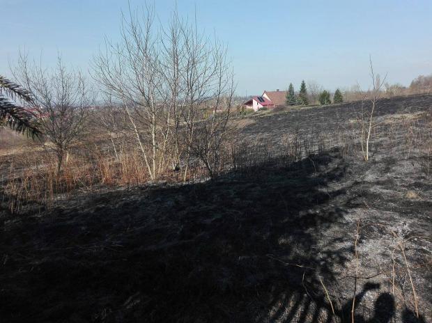 fot. nadesane przez czytelnika