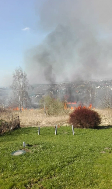 fot. nadesane przez czytelnika