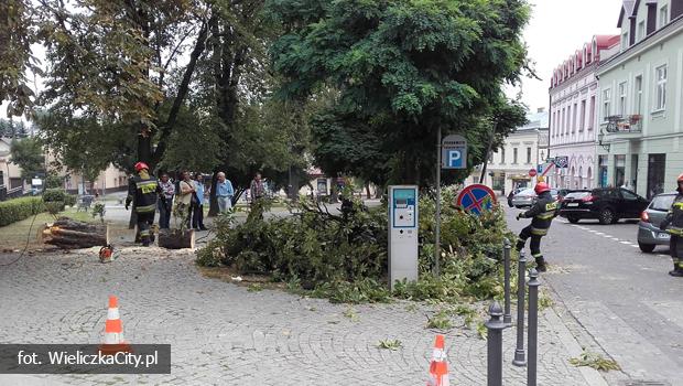Powalone drzewo w centrum Wieliczki